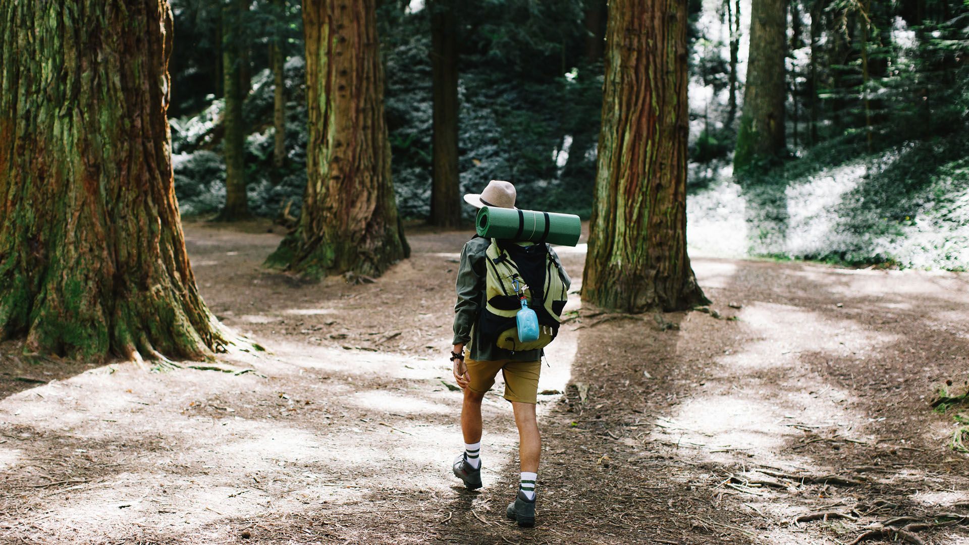 Photograph taken from behind of a backpacker in hiking boots and other hiking gear walking on a trail through a peaceful forest setting. 