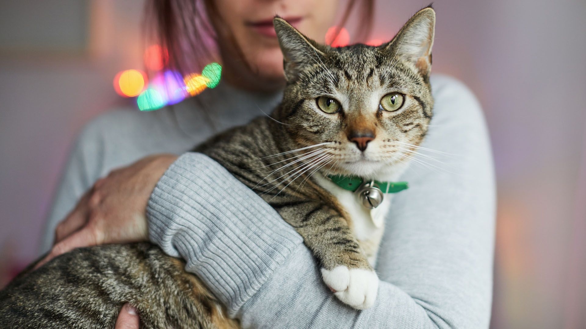 Woman gently cuddles with her cat