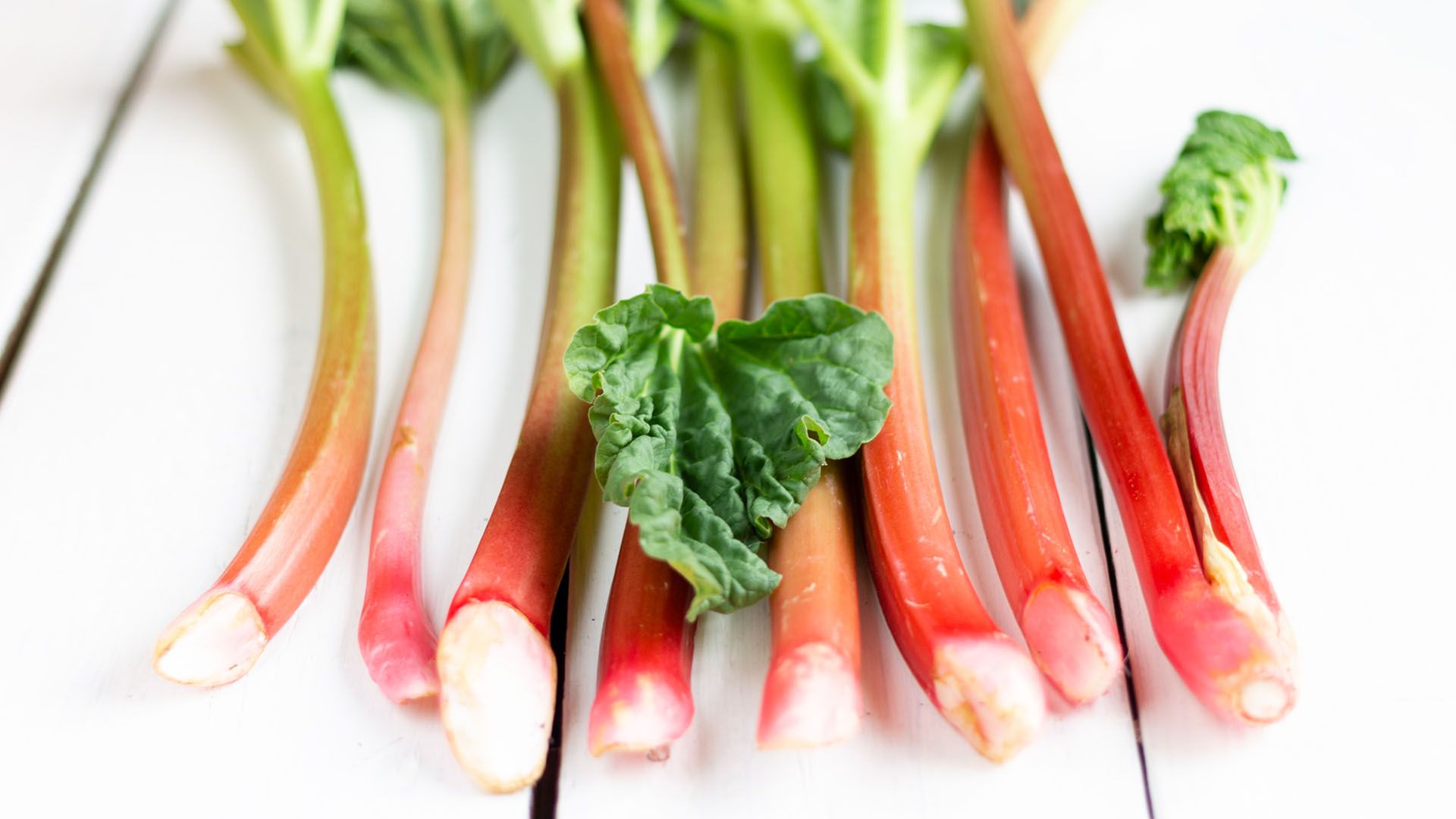 Fresh cut rhubarb stalks