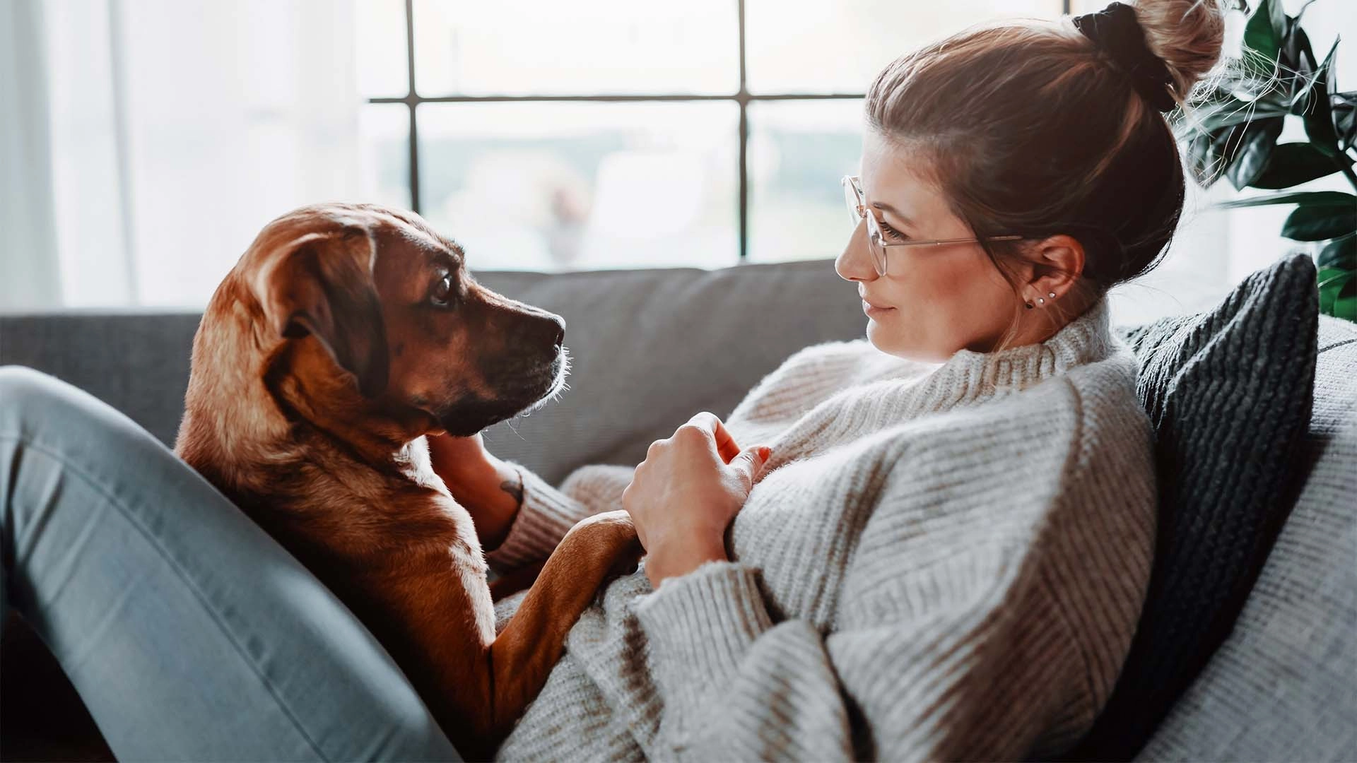 Communicating With Animals